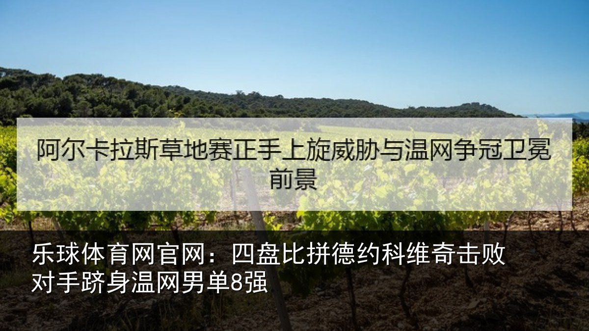 乐球体育网官网：四盘比拼德约相关情况身温网男单8强