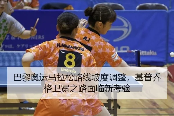 ba-li-ao-yun-ma-la-song-lu-xian-po-du-tiao-zheng-ji-pu-qiao-ge-wei-mian-zhi-lu-mian-lin-xin-kao-yan-3-447.jpg